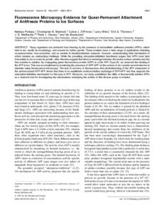 Biophysical Journal  Volume 92 May 2007