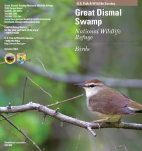 Birds of Glacier National Park / Unicode blocks / Old World warbler / Blue-winged Warbler / Grosbeak