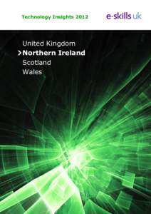 E-skills UK / Technology / Chief information officer / Sector Skills Councils / Further education / Raidió Teilifís Éireann / BT Group / Education / Information technology / Information technology education