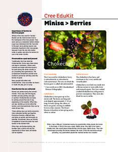 Cree EduKit  Mînisa > Berries Importance of berries to the Cree people Mînisa is the Cree word for ‘berries.’