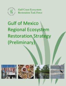 Deepwater Horizon oil spill / Environmental policy in the United States / Gulf Coast Ecosystem Restoration Task Force / Wetland / Gulf of Mexico / National Estuarine Research Reserve / Ecosystem services / Oil spill / Water Resources Development Act / Geography of the United States / Environment / United States