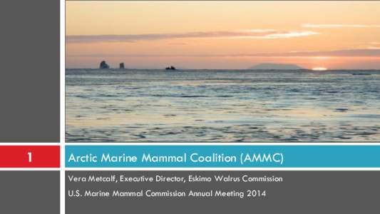1  Arctic Marine Mammal Coalition (AMMC) Vera Metcalf, Executive Director, Eskimo Walrus Commission U.S. Marine Mammal Commission Annual Meeting 2014