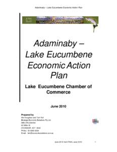 LECC Adaminaby Economic Action Plan June 2010 ver5 FINAL