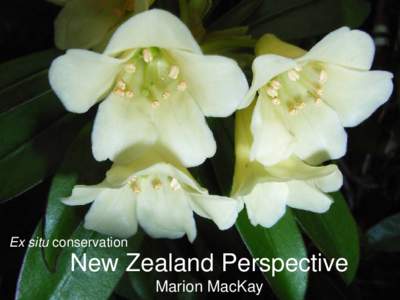 Ex situ conservation  New Zealand Perspective Marion MacKay  New Zealand Research Team