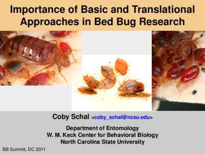 Importance of Basic and Translational Approaches in Bed Bug Research