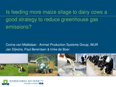 Is feeding more maize silage to dairy cows a good strategy to reduce greenhouse gas emissions? Corina van Middelaar - Animal Production Systems Group, WUR Jan Dijkstra, Paul Berentsen & Imke de Boer