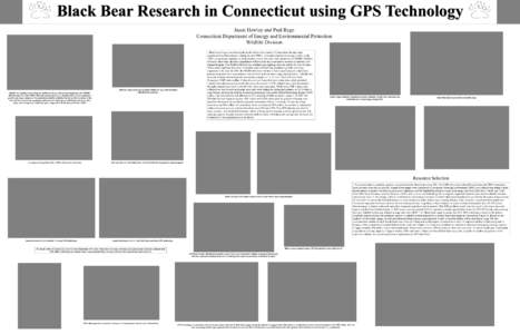 Black Bear Research in Connecticut using GPS Technology Jason Hawley and Paul Rego Connecticut Department of Energy and Environmental Protection Wildlife Division  Black bear sighting reports from the public have been co