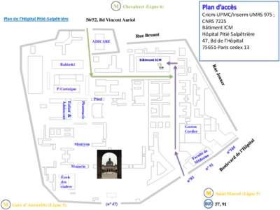 M Chevaleret (Ligne 6) Plan de l’Hôpital Pitié-Salpêtrière Cricm-UPMC/Inserm UMRS 975 ; CNRS 7225 Bâtiment ICM