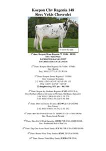 Koepon Chv Regenia 148 Sire: Vekis Chevrolet ½ sister by Epic 1st dam: Koepon Mano Regenia 73 VG86 – 88MS Sire: ManOMan