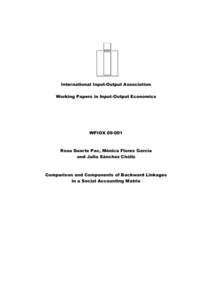 International Input-Output Association Working Papers in Input-Output Economics WPIOX[removed]Rosa Duarte Pac, Mónica Flores García