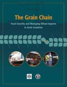 The Grain Chain Food Security and Managing Wheat Imports in Arab Countries The Grain Chain Food Security and Managing Wheat Imports