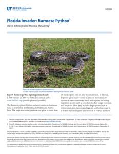 WEC288  Florida Invader: Burmese Python1 Steve Johnson and Monica McGarrity2  Figure 1. Burmese python (Python molurus).