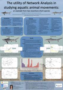 The utility of Network Analysis in studying aquatic animal movements:  an example from two nearshore shark species