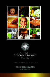14SPA013_Ambience_Brochure_Revise2.indd