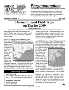 Horned lizard / Roundtail Horned Lizard / Greater short-horned lizard / U.S. state reptiles / Herpetology / Texas horned lizard / Lizards