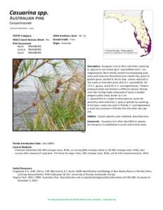 C. glauca / South Florida rocklands / Botany / Biogeography / Casuarina / Chemistry / Triclopyr