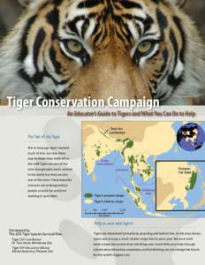 Tiger Conservation Campaign  An Educator’s Guide to Tigers and What You Can Do to Help The Tale of the Tiger Not so long ago tigers roamed