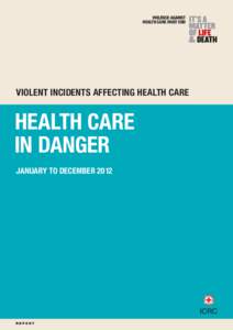 HEALTH CARE IN DANGER. A SIXTEEN-COUNTRY STUDY  – ﻿ VIOLENCE AGAINST