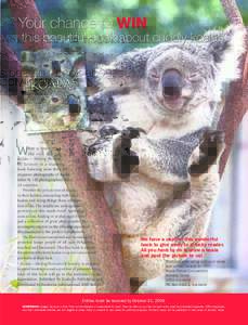 Your chance to WIN  this beautiful book about cuddly koalas W