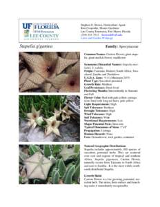 Stapelia / Reproduction / Plant morphology / Carrion flower / Institute of Food and Agricultural Sciences / Flower / Stapelia grandiflora / Edithcolea / Pollination / Botany / Biology