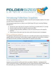 Introducing FolderSizes Snapshots The release of FolderSizes 7 introduced the ability to create file system metadata snapshots, from which any report type can be generated later on. This amazing and unique feature can he