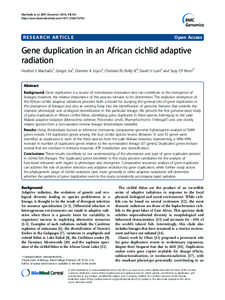 Exploring the gonad transcriptome of two extreme male pigs with RNA-seq