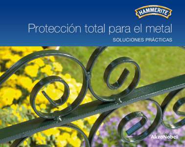 Protección total para el metal SOLUCIONES PRÁCTICAS 1  ¿Por qué