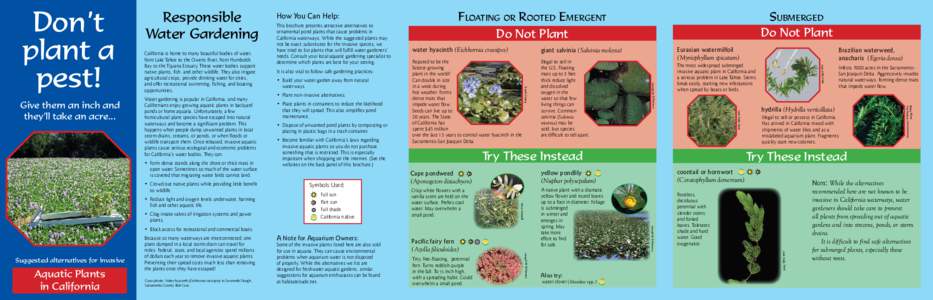 Biology / Plant taxonomy / Iris pseudacorus / Water garden / Iris / Hydrilla / Salvinia molesta / Elodea / Water hyacinth / Invasive plant species / Aquatic plants / Botany