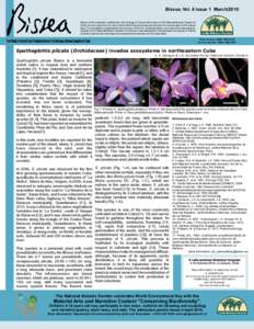 Bissea, Vol. 4 Issue 1 March/2010 Bissea is the newsletter published by the Ecology & Conservation team of the National Botanic Garden of Cuba. Its main objective is to report on the efforts that are being carried out fo
