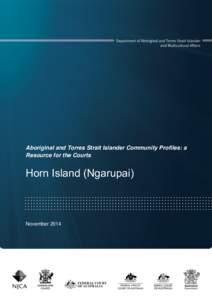 Aboriginal and Torres Strait Islander Community Profiles: a Resource for the Courts Horn Island (Ngarupai)  November 2014