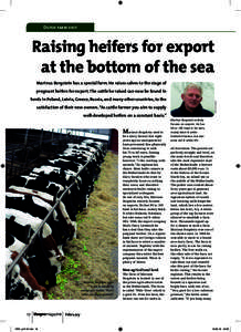 Dutch farm visit  Raising heifers for export at the bottom of the sea Marinus Borgstein has a special farm. He raises calves to the stage of