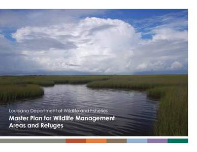 Louisiana Department of Wildlife and Fisheries  Master Plan for Wildlife Management Areas and Refuges LANDSCAPE SCALE VISION AND OPPORTUNITIES