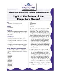 Light at the Bottom of the Deep, Dark Ocean?