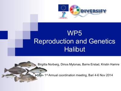 WP5 Reproduction and Genetics Halibut Birgitta Norberg, Dinos Mylonas, Børre Erstad, Kristin Hamre 1st Annual coordination meeting, Bari 4-6 Nov 2014