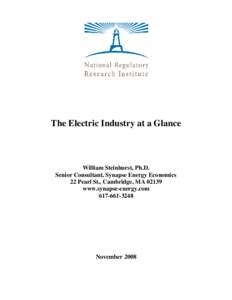 The Electric Industry at a Glance  William Steinhurst, Ph.D. Senior Consultant, Synapse Energy Economics 22 Pearl St., Cambridge, MA[removed]www.synapse-energy.com