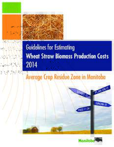 COP wheat straw biomass average area