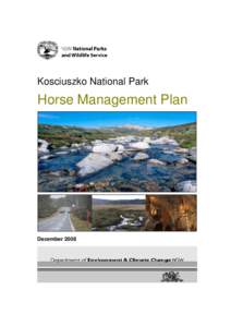 Kosciuszko National Park Horse Management Plan