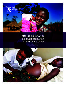 making pregnancy & CHILDBIRTH safer IN UGANDA & ZAMBIA Annual Report 2013  PROGRAMMATIC APPROACH