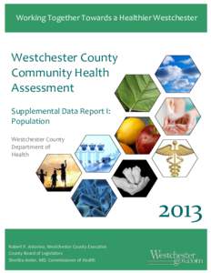 Working Together Towards a Healthier Westchester  Westchester County Community Health Assessment Supplemental Data Report I: