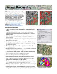 Image Processing TNTmips allows you to display, create, and process images of any type and up to terrabytes in size. You can enhance, combine, rectify, reproject, mosaic, and classify your geospatial images to optimize i