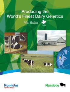 Producing the World’s Finest Dairy Genetics Manitoba Producing the World’s Finest Dairy Genetics Manitoba, located near the centre of North America, produces some of the world’s