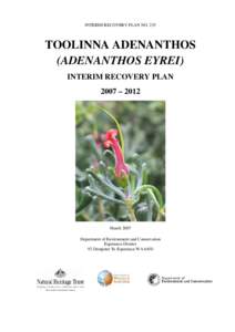 Adenanthos / Adenanthos eyrei / Woollybush / Adenanthos sect. Adenanthos / Adenanthos macropodianus / Plant taxonomy / Flora of Australia / Botany