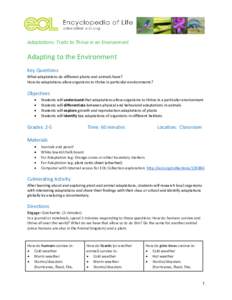 Adaptations: Traits to Thrive in an Environment  Adapting to the Environment Key Questions What adaptations do different plants and animals have? How do adaptations allow organisms to thrive in particular environments?