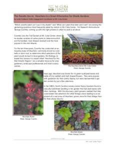 The Results Are in: Heuchera Is a Great Alternative for Shade Gardens By Leslie Hubbard, Public Engagement Coordinator at Mt. Cuba Center “Which colorful plant can I use in dry shade?” and “What can I plant that de