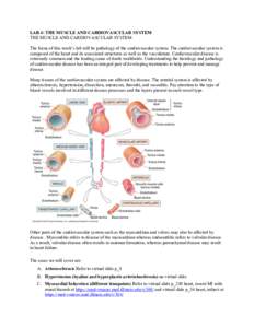   LAB 4: THE MUSCLE AND CARDIOVASCULAR SYSTEM THE MUSCLE AND CARDIOVASCULAR SYSTEM The focus of this week’s lab will be pathology of the cardiovascular system. The cardiovascular system is composed of the heart and it