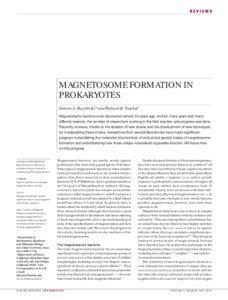 REVIEWS  MAGNETOSOME FORMATION IN