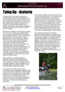 Equine exertional rhabdomyolysis / Horse anatomy / Laminitis / Horse management / American Quarter Horses / Horse / Back / Tying / Lead / Veterinary medicine / Equidae / Agriculture
