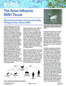 Current facts and future concerns about Highly Pathogenic Avian Influenza H5N1. A highly pathogenic strain of avian influenza called H5N1 has caused mortality in over 40 species of wild birds including herons, storks and