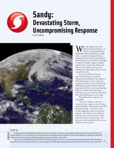 Sandy:  Devastating Storm, Uncompromising Response By Brian Mulligan