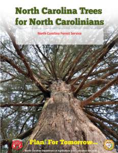 North Carolina Trees for North Carolinians North Carolina Forest Service SEEDLING CATALOG